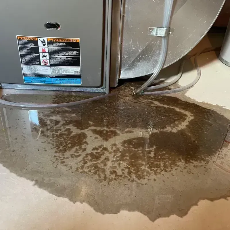 Appliance Leak Cleanup in Charleston, IL